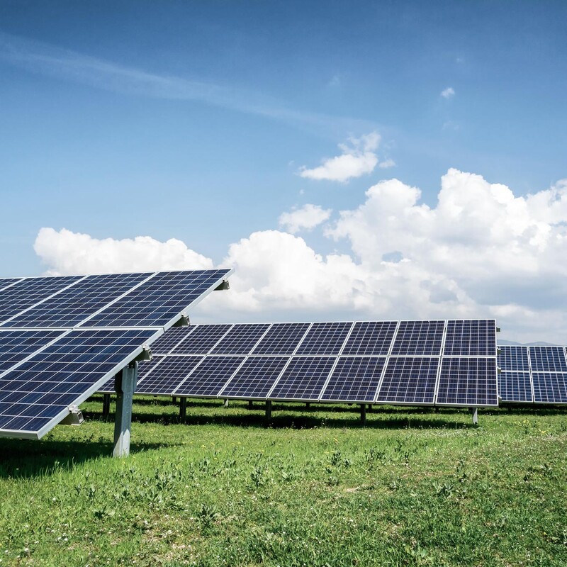 Solarpanels, die in der Sonne auf einer Wiese stehen